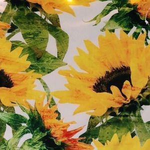 Meet your Posher, Jadon